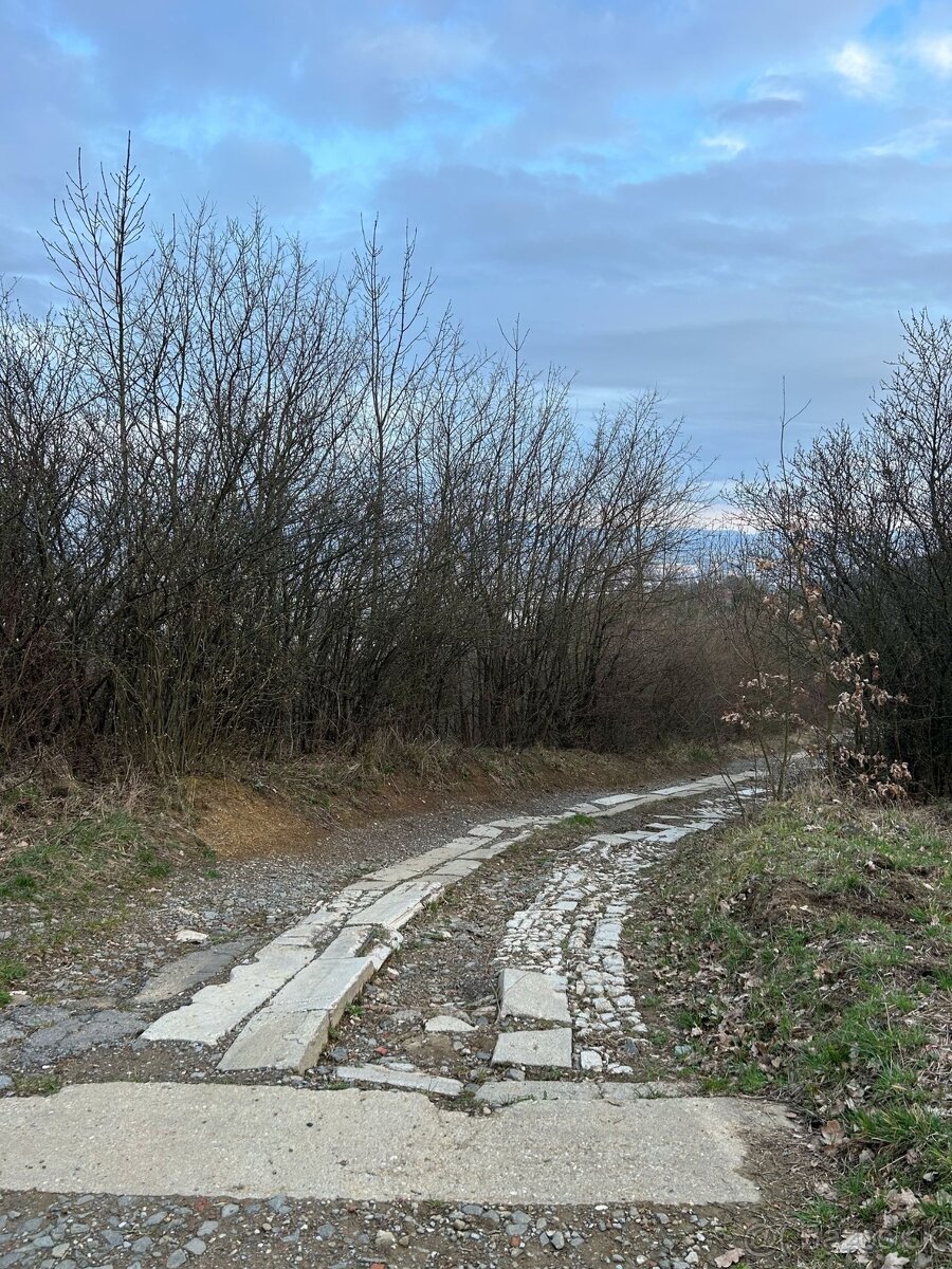 PREŠOV – SLÁVIČIA: INVESTIČNÉ POZEMKY v záhradkárskej zóne - 5