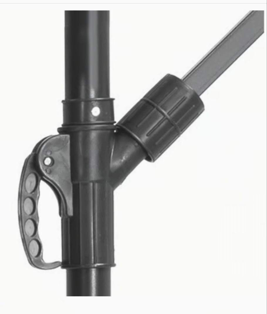 Slnečník záhradný - 5