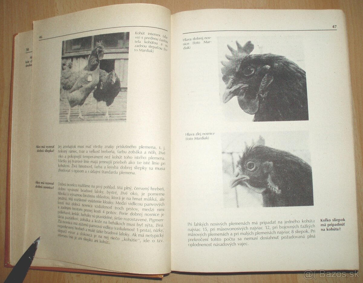 1000 rád drobnochovateľom - 5