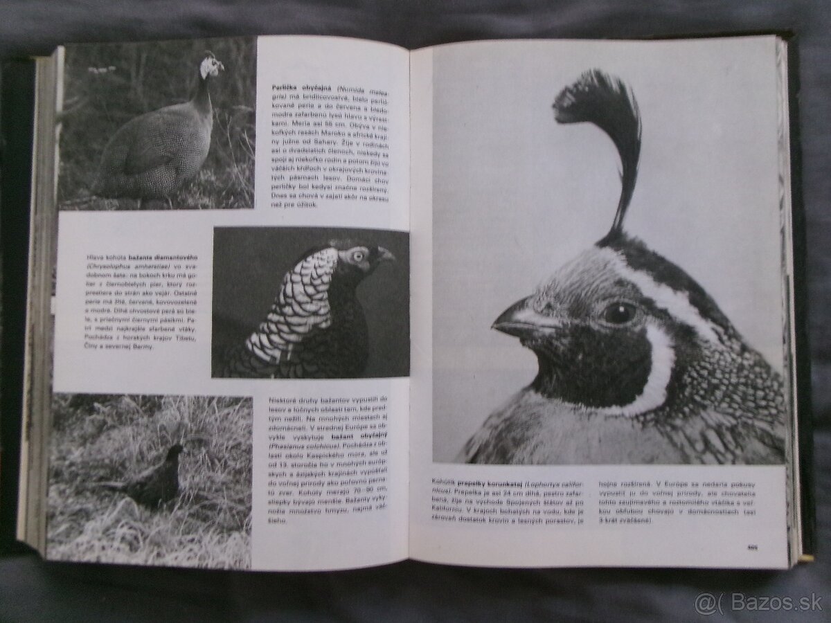 Veľký obrazový atlas zvierat - Václav Jan Staněk. - 5