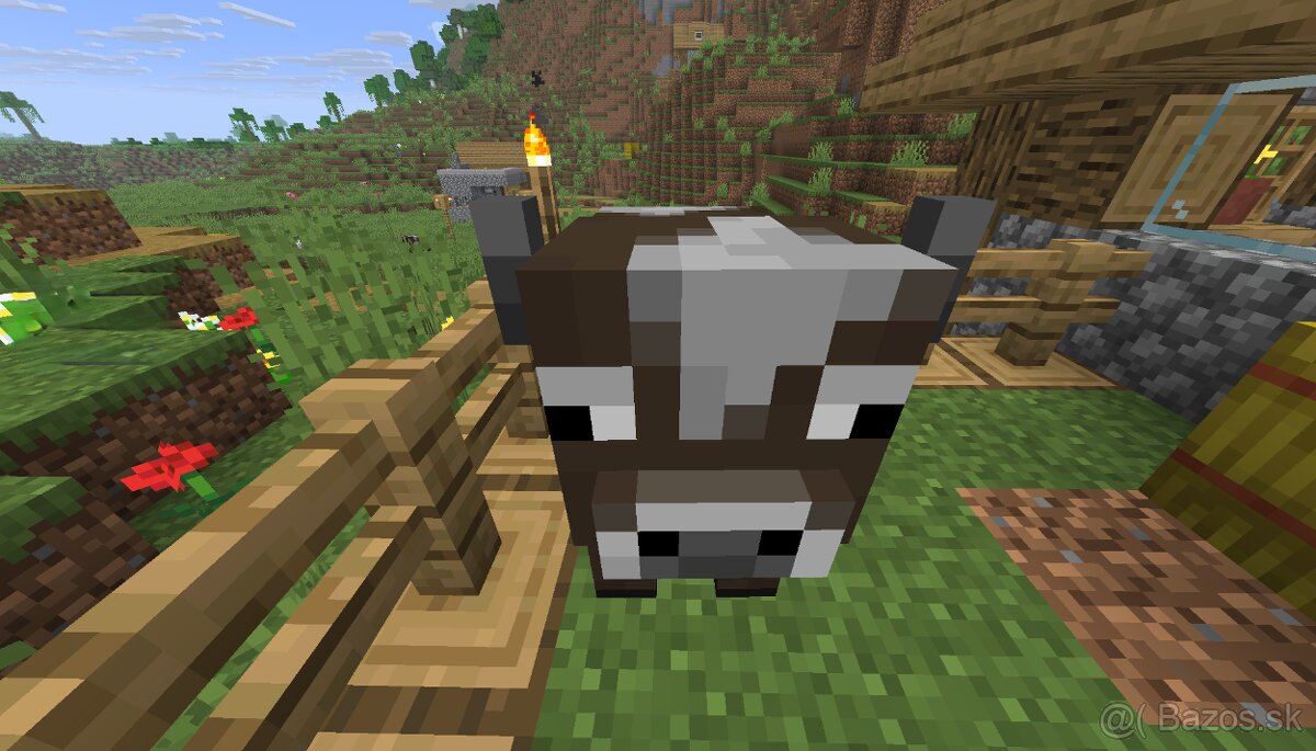 Predam Kockatu Kravu - 5