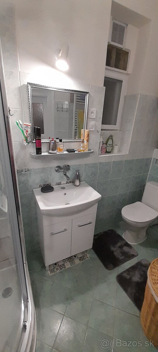 Prenájom 1.5 izbovy byt Malá Praha 2 - 5