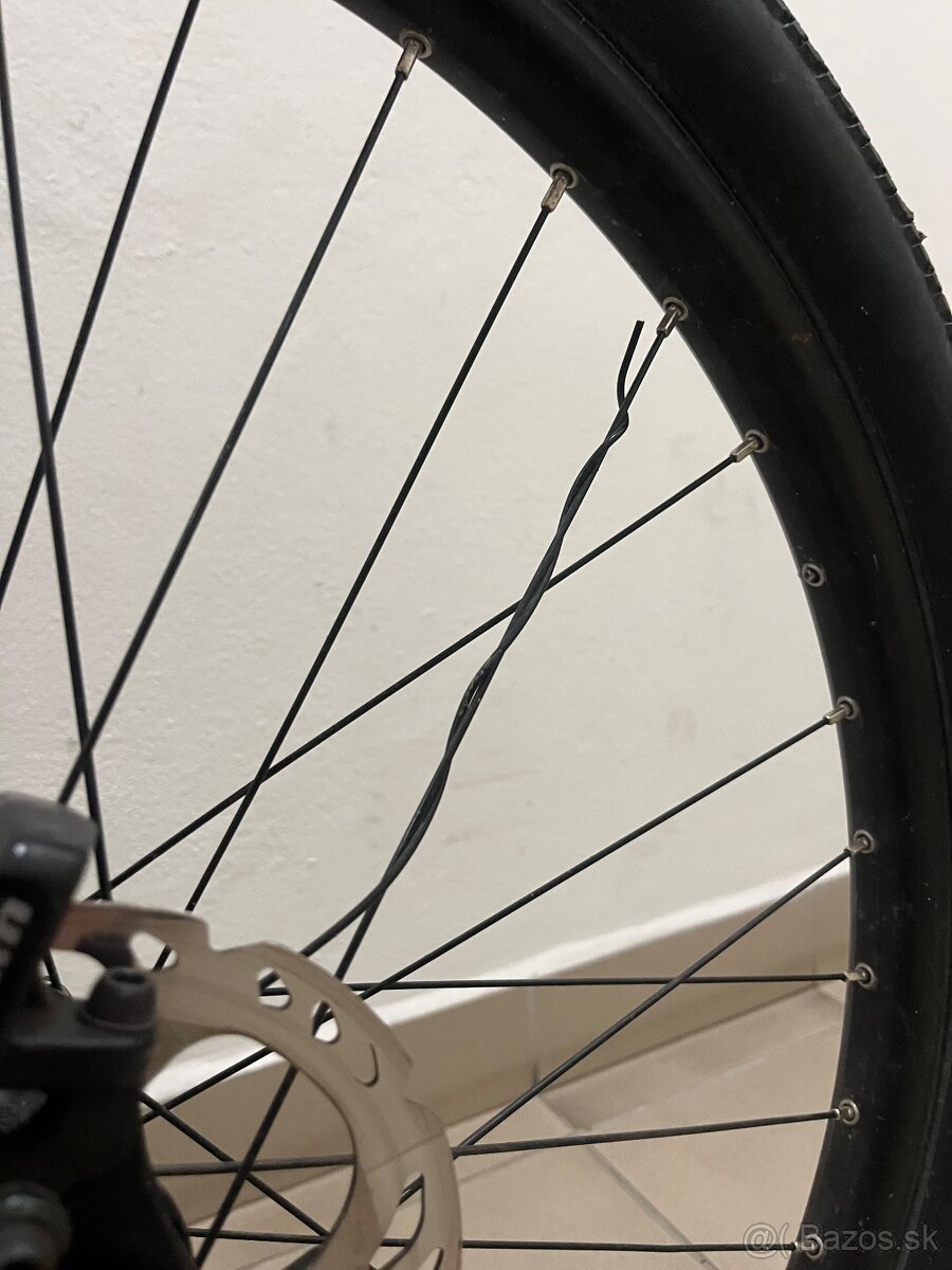 Ctm dirtking xpert - 5