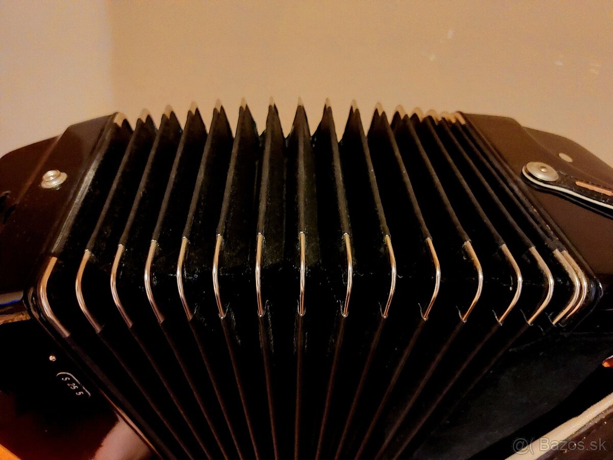 Royal Standard Selecta 120 basov cassotto - 5