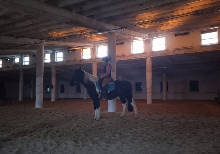 Boxové ustajnenie - 5