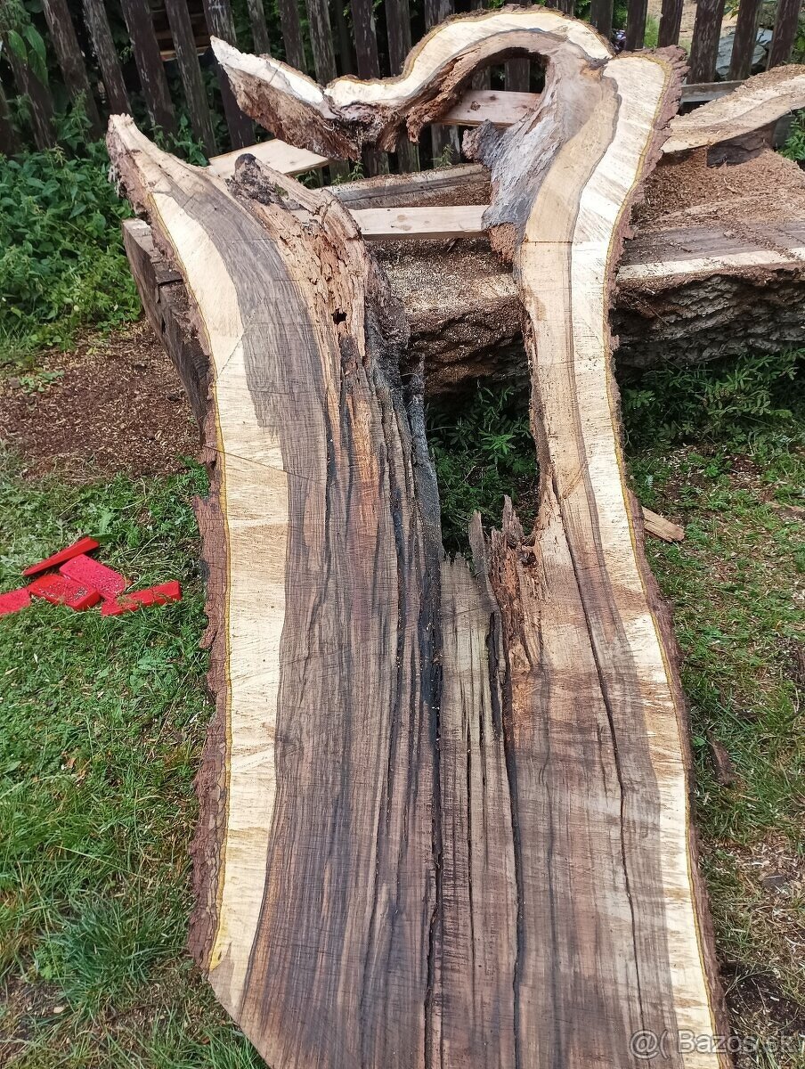 Orechove fosne, hrúbka 84mm - 5