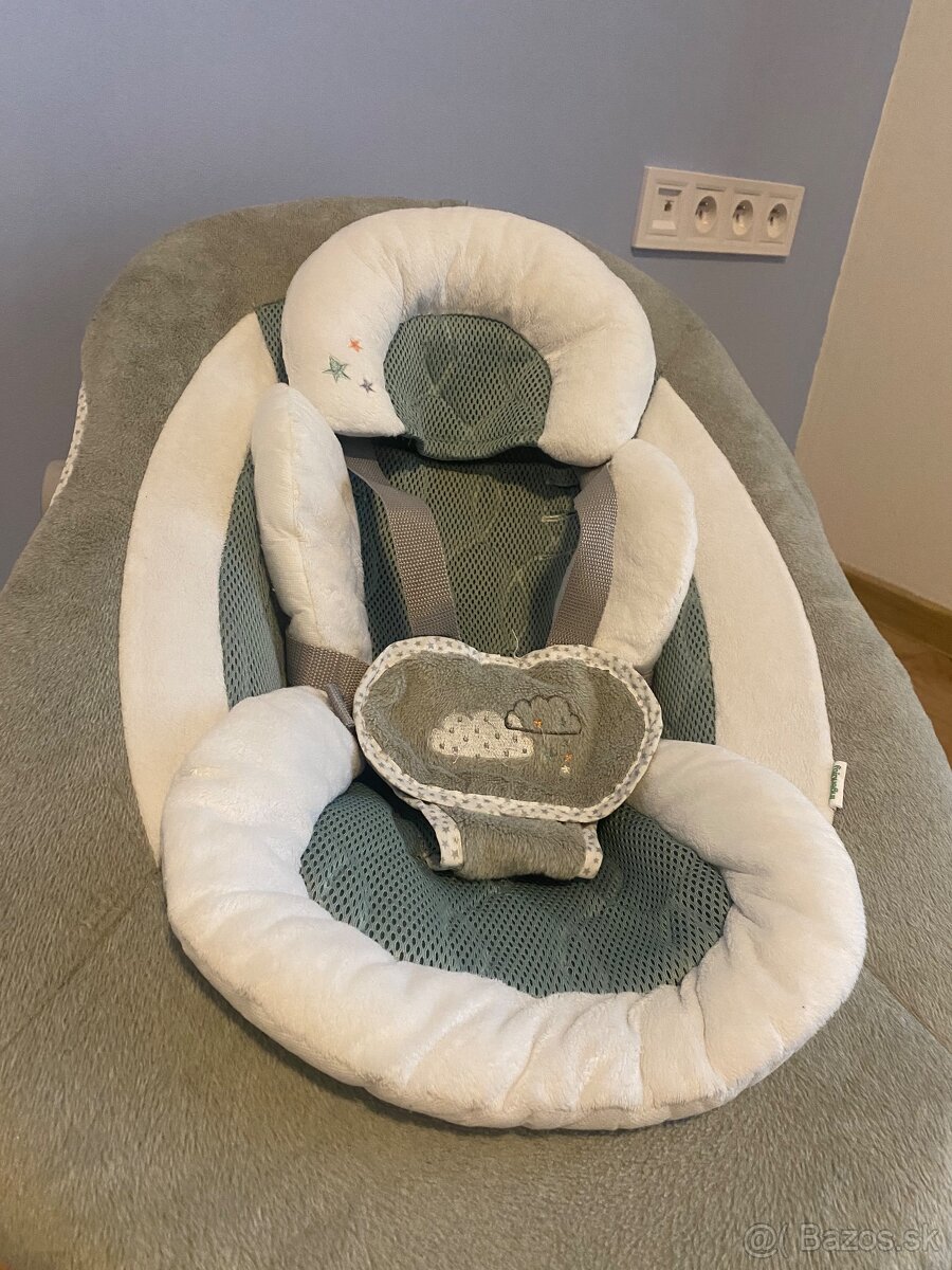 Veľká hojdačka Ingenuity 2v1 - 5