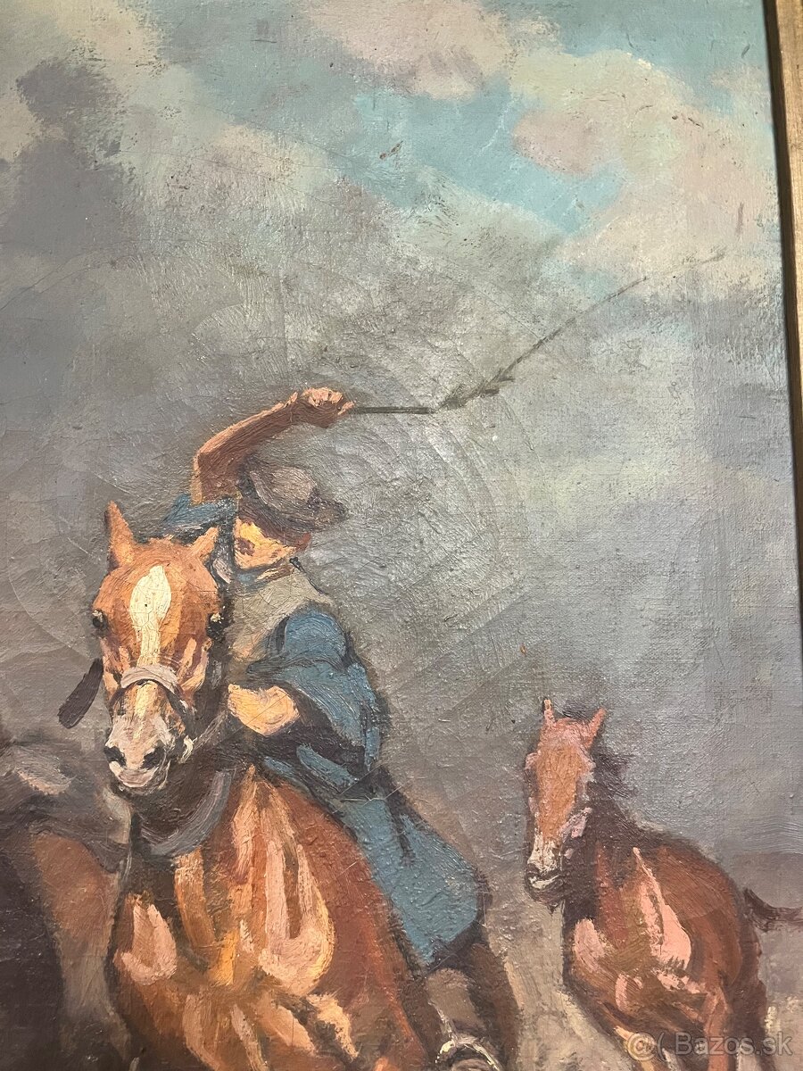 Čikoš so stádom koní - 5