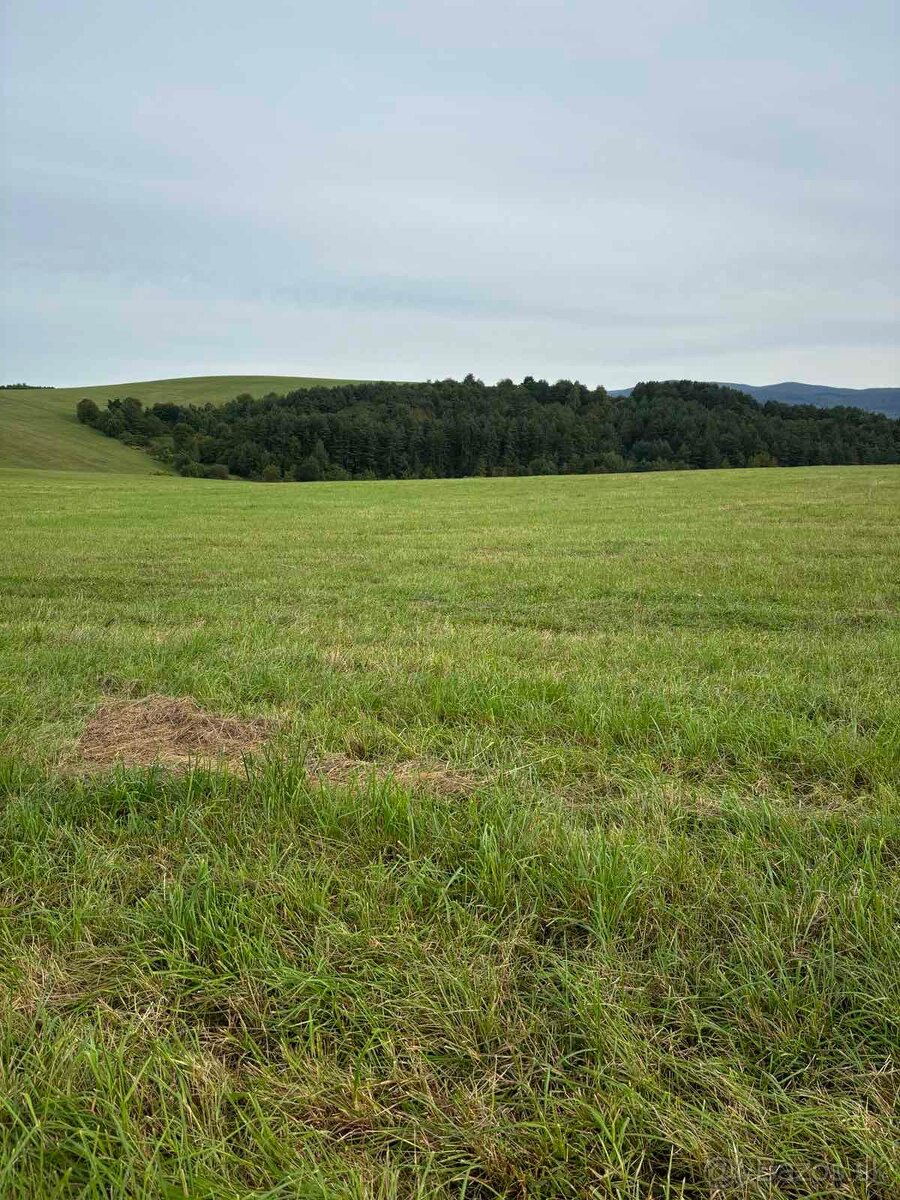 Pozemok na predaj obec Chmeľovec okr. Prešov - 5