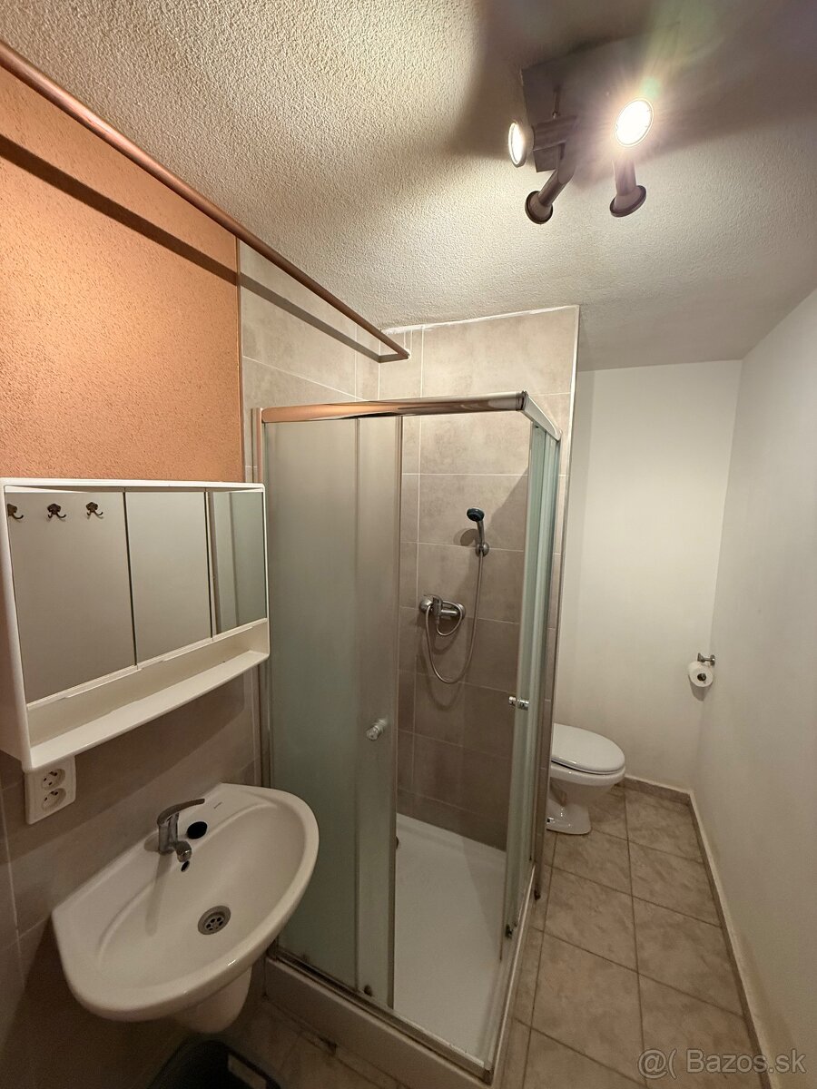 Prenájom 1-izbový byt Sereď - 5