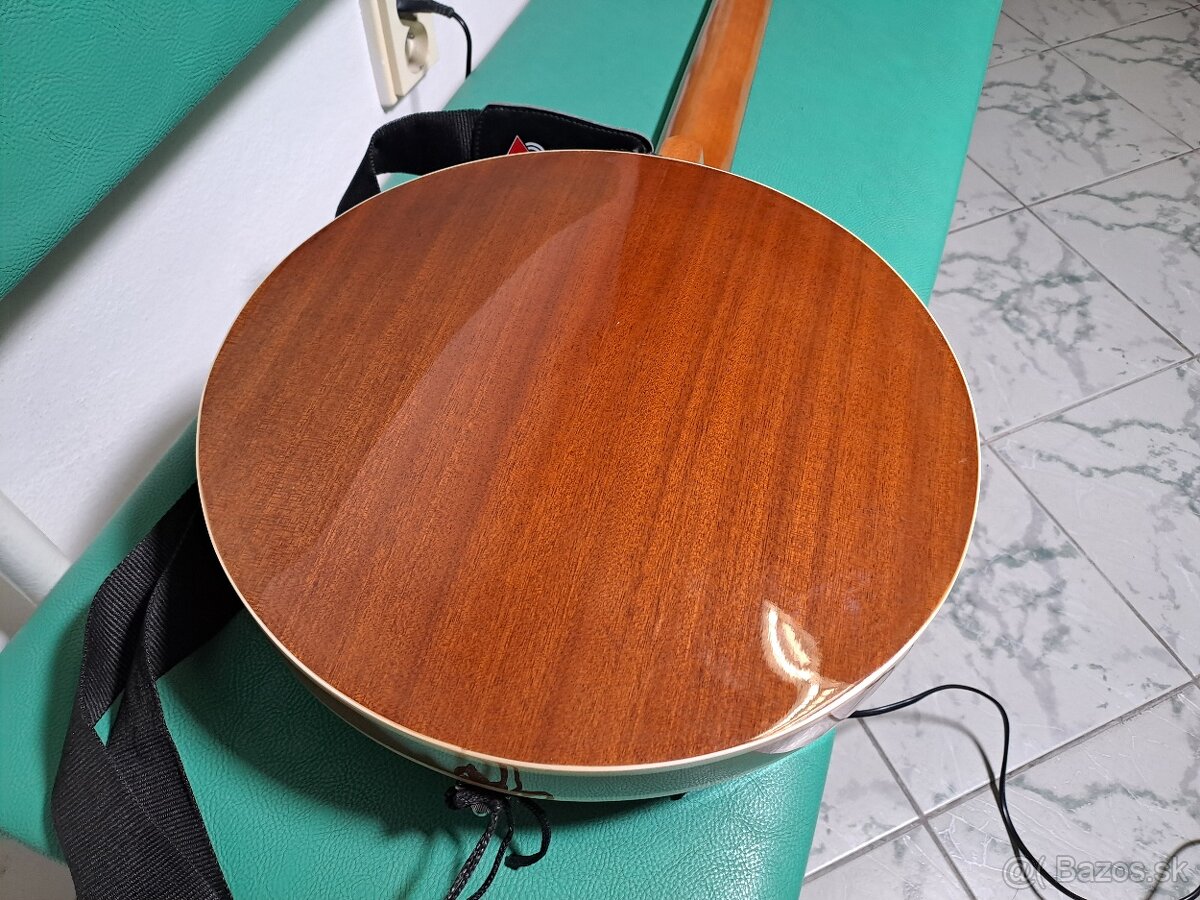 6 strunové banjo Pasadena - 5