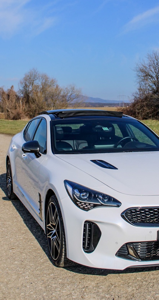 Kia Stinger GT 3.3 V6 T-GDI AWD - 5