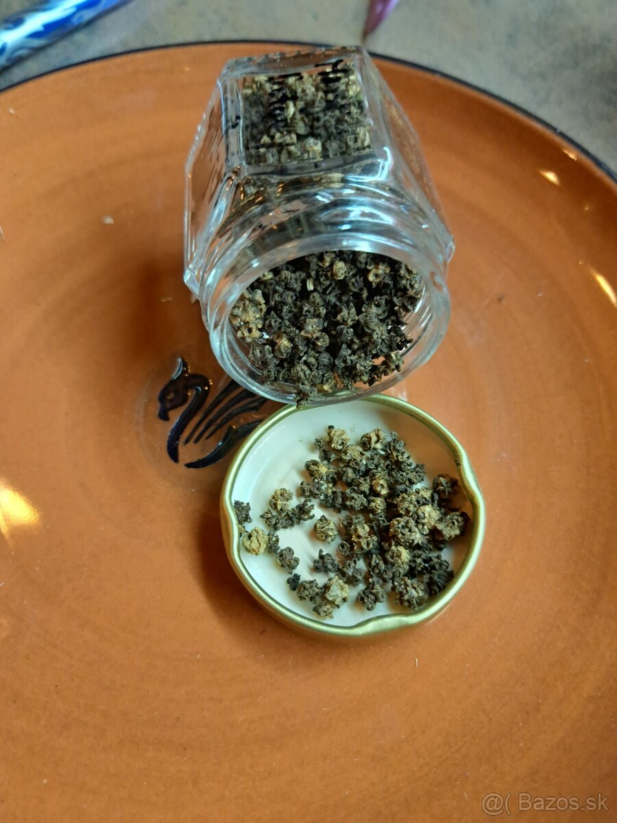 Semená zeleniny a ovocia - 5