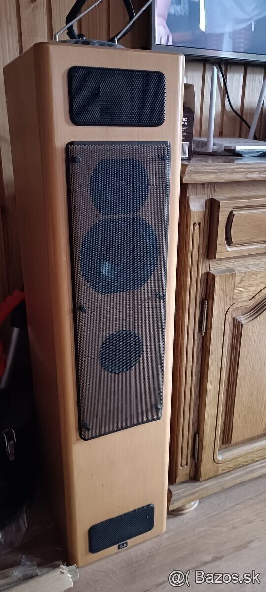 T+A criterion TB 100 - 5