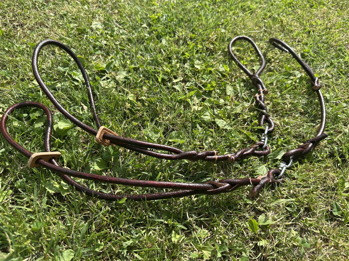 Predám vystavovanie vodítka pre malé aj veľké plemená psov - 5