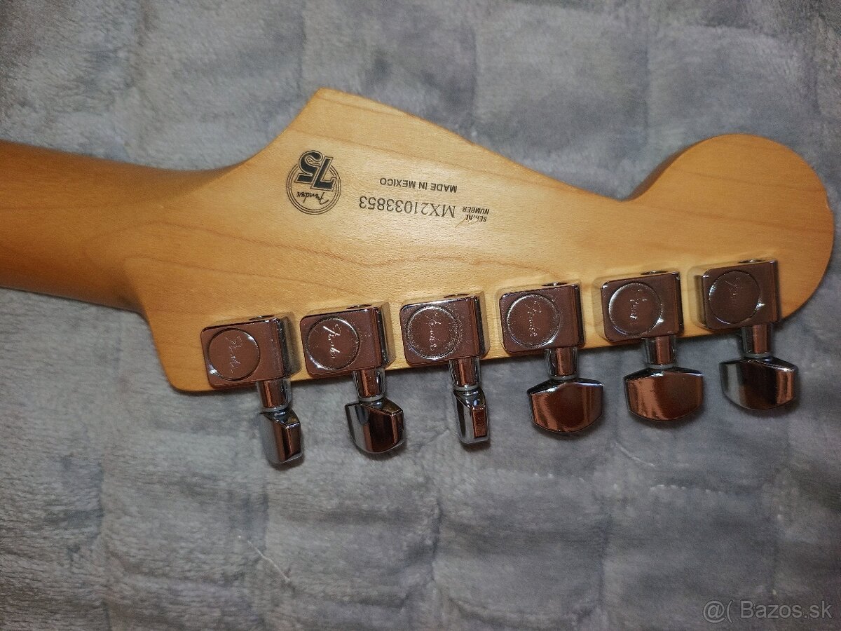 Fender Stratocaster - 5