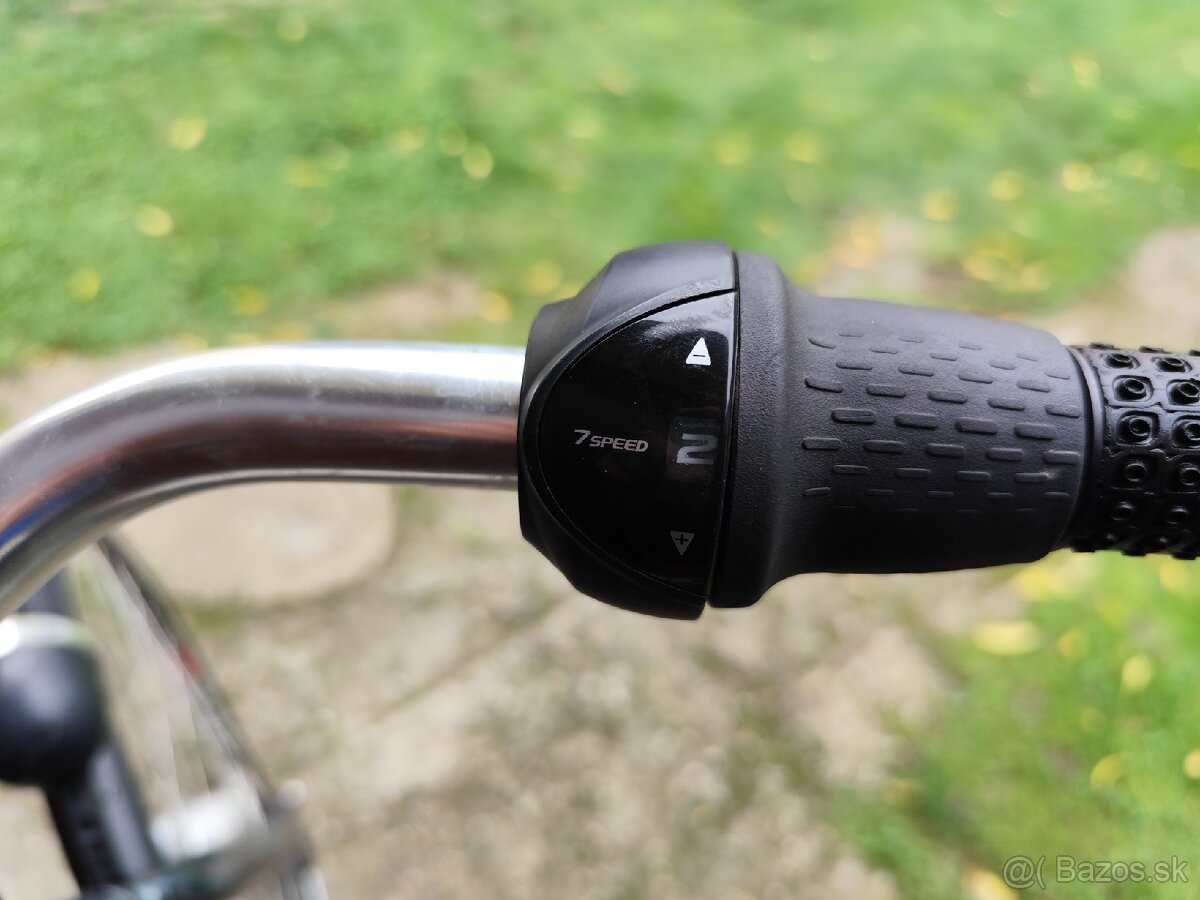 Cross bicykel pánsky Raleigh elegance - 5