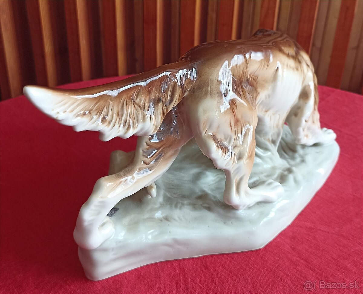 Royal dux - polovnicky pes - 5