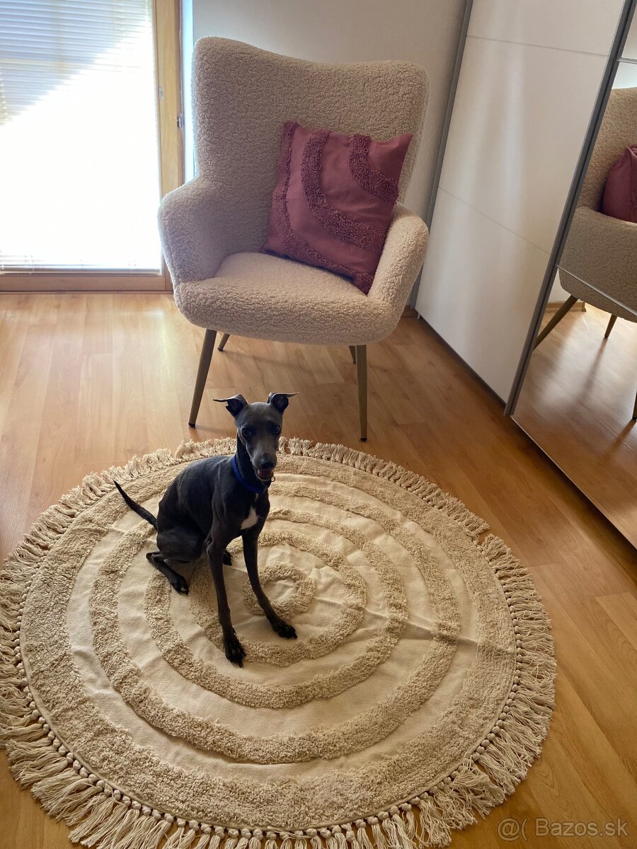 Krytie Taliansky Chrtík - 5