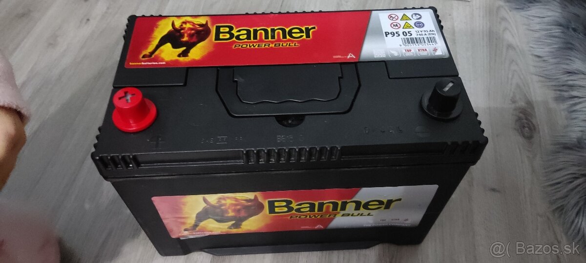 Bateria Banner 12V 95Ah 740A - 5