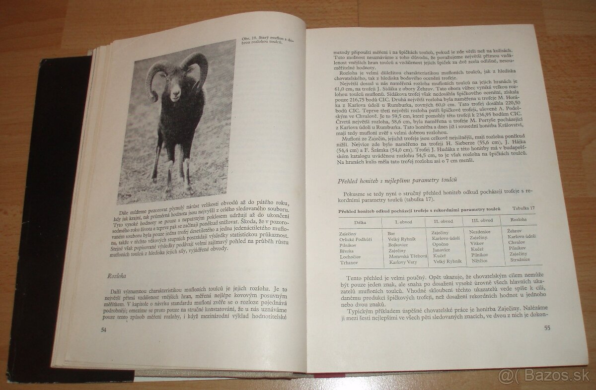 Dutorohá zvěř - 5