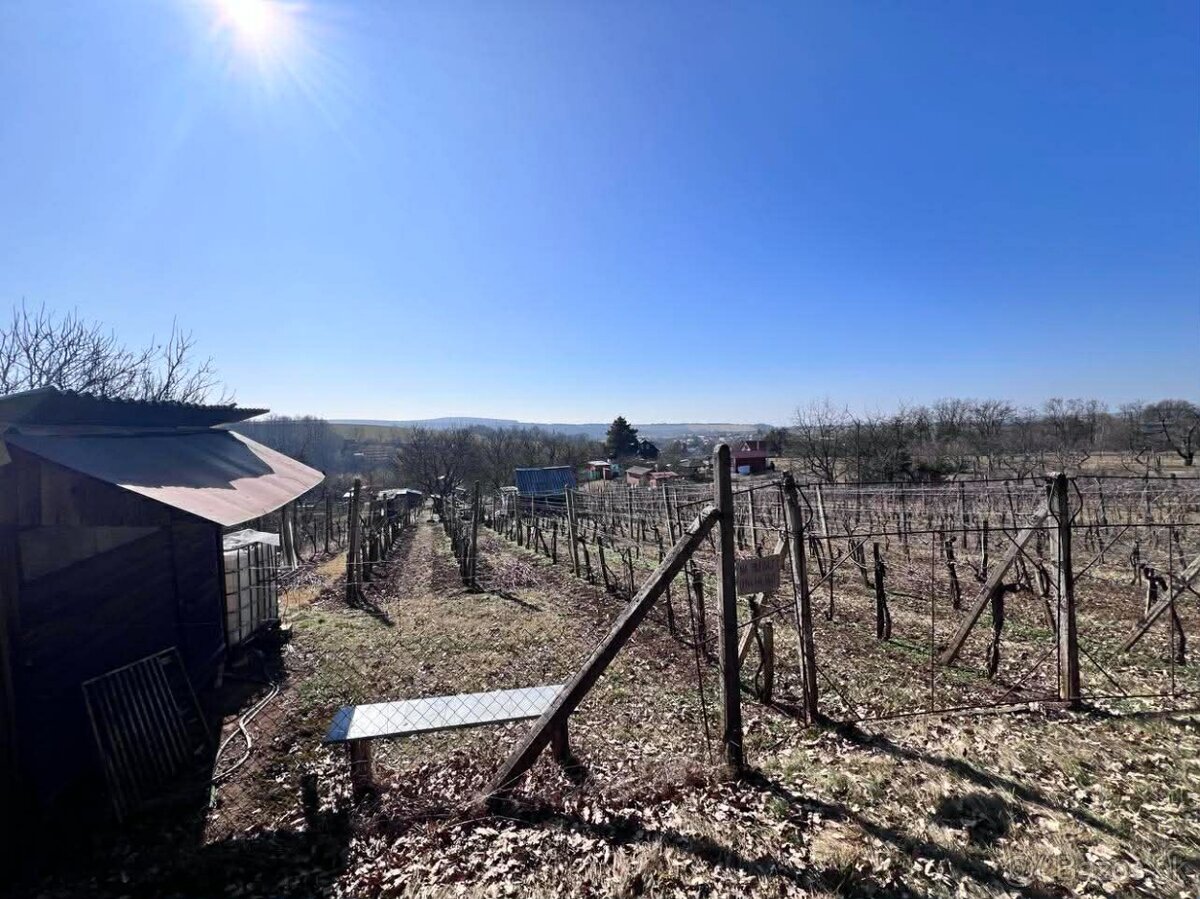 Záhrada – Čankov (Levice), 441 m² - 5