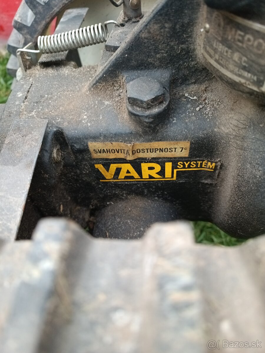 Vari listova kosacka - 5