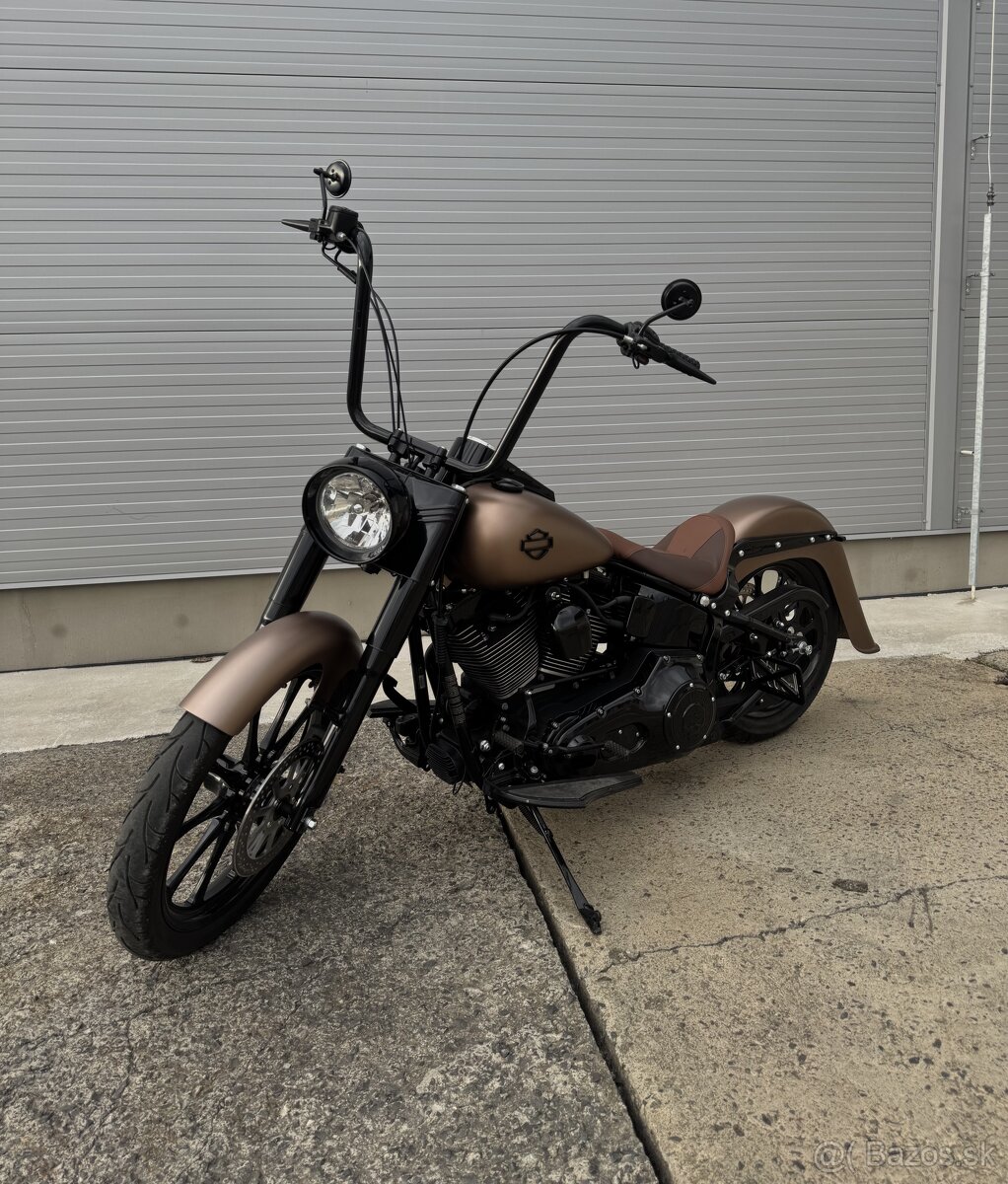 HARLEY DAVIDSON - Softail Chicano Style - SK ŠPZ - 5