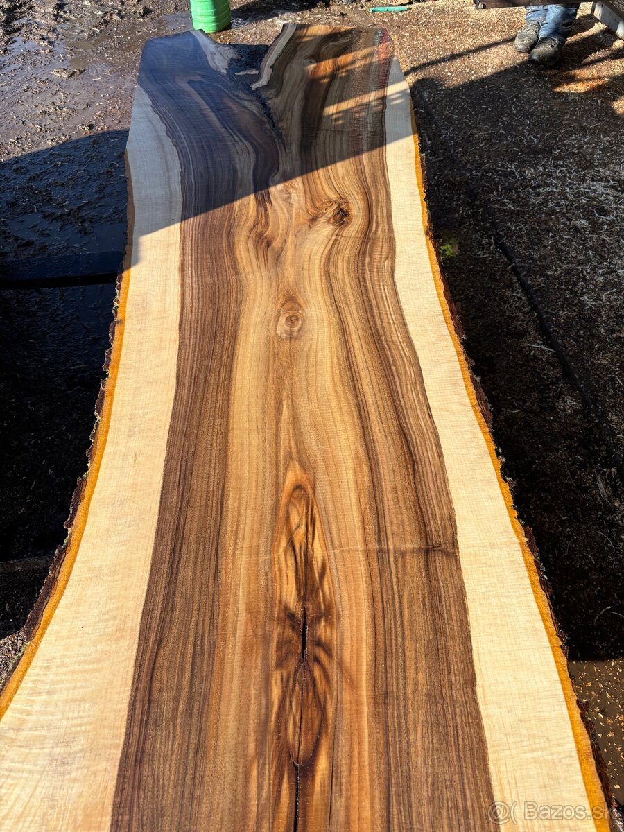 Rezivo Orech Orechové Drevo Kmene - 5