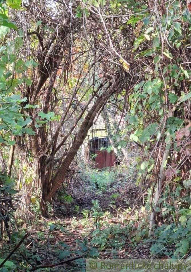 Veľká záhrada 1120 m2 v osade Pod srdcom, Devínska Nová Ve - 5