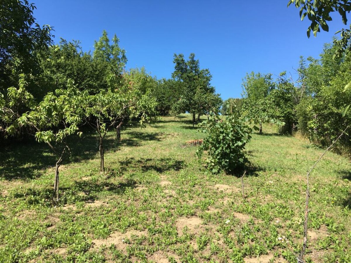 Predaj chalupy priamy predaj Sasinkovo - 5