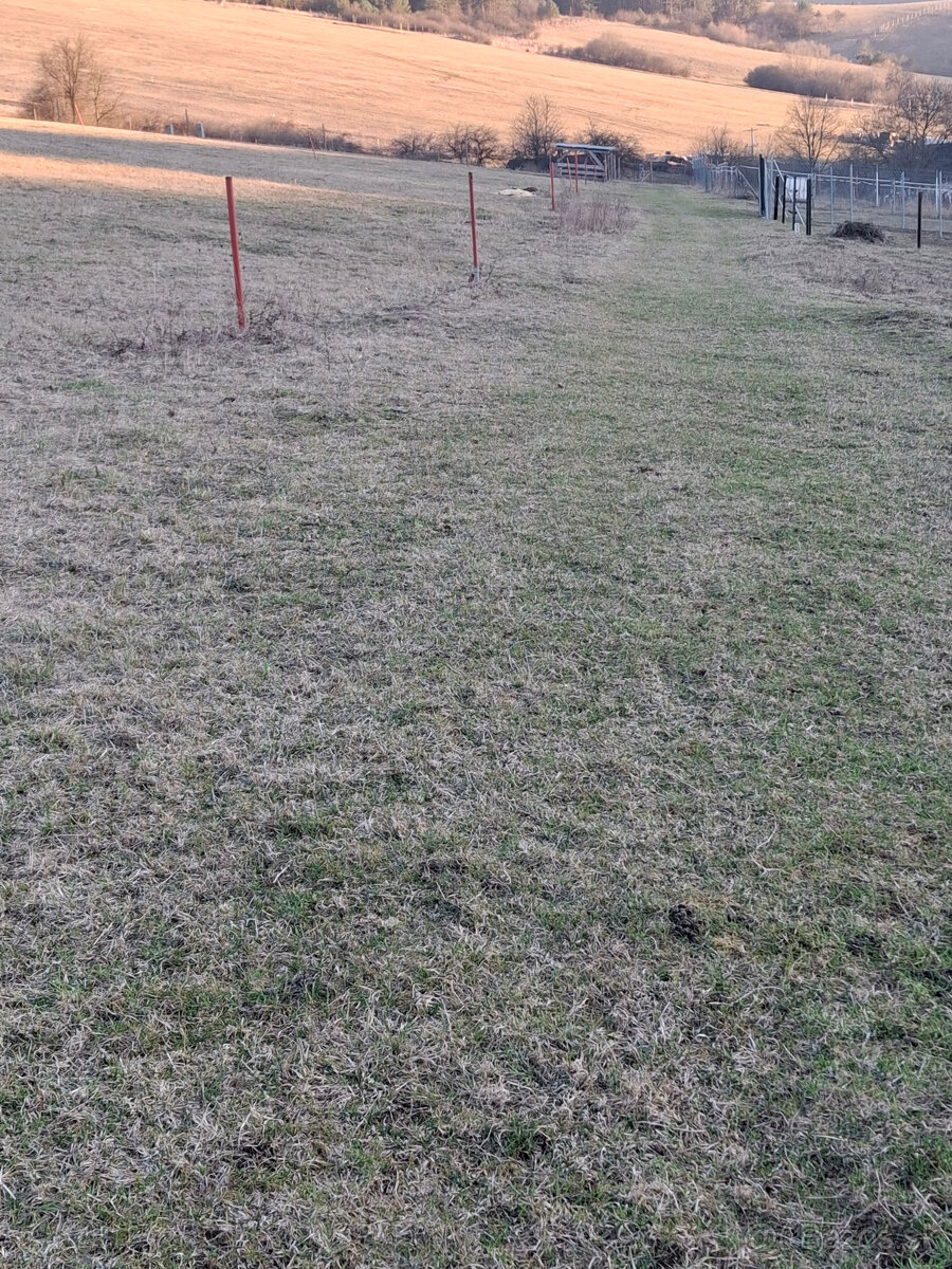 Predaj orná pôda Bodiná 3830 m2 - 5