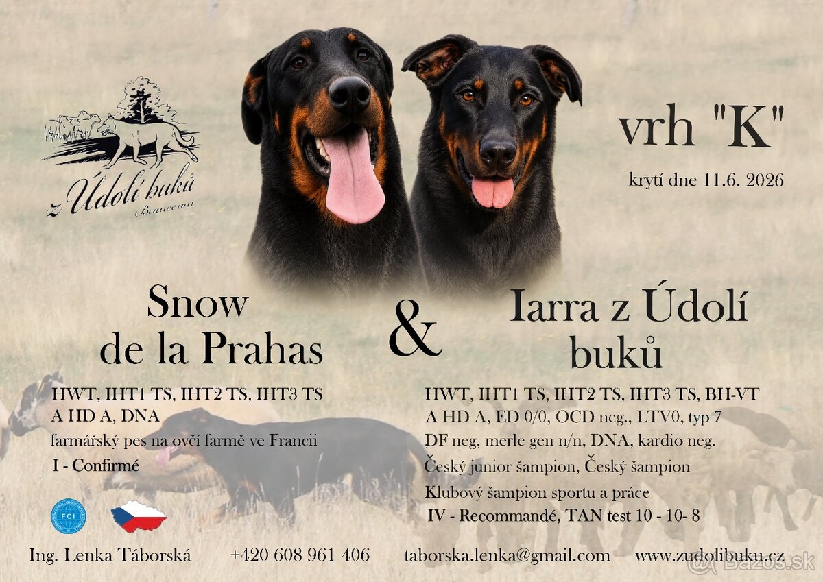 Beauceron s PP - 5