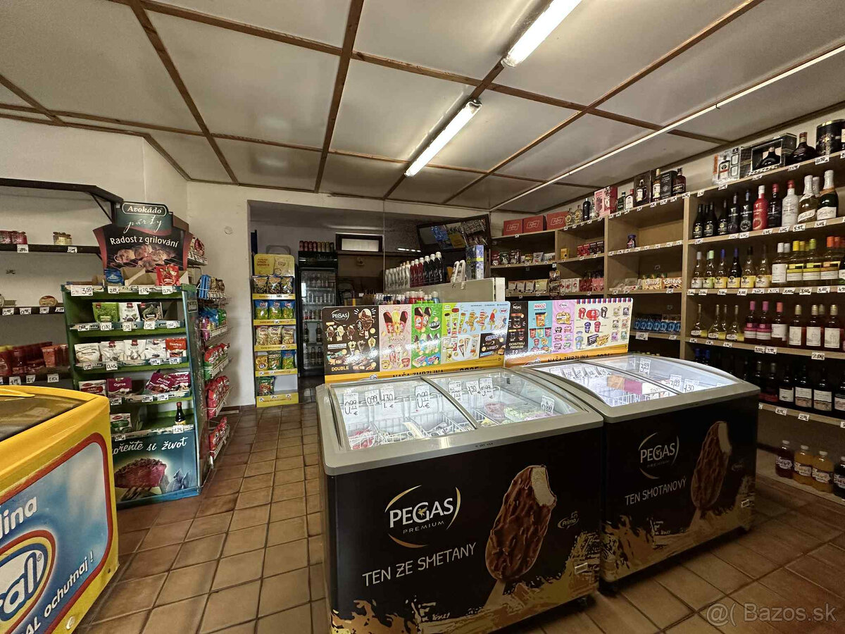 Predaj – Obchodný priestor v Dunajskej Strede - 5