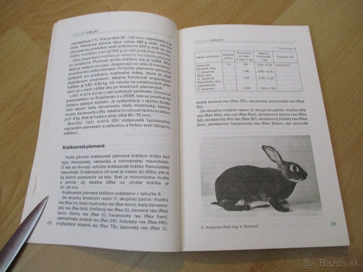 Chováme králiky - 4 - 5