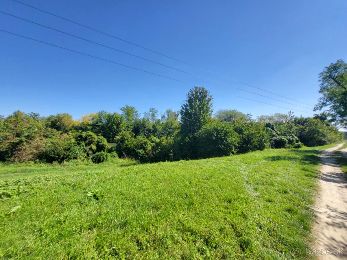 Dunakiliti–krásny pozemok na konci ulice,na začiatku prírody - 5