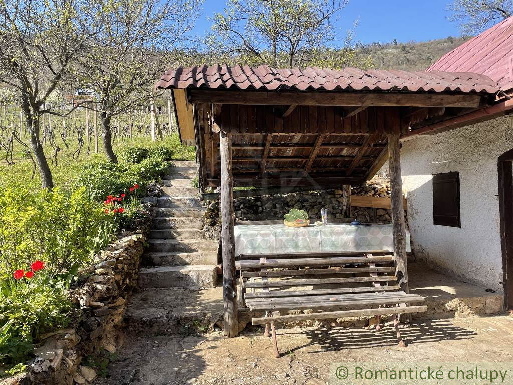 Rozsiahla vinica s historickou chatou v Slovenskom krase - 5