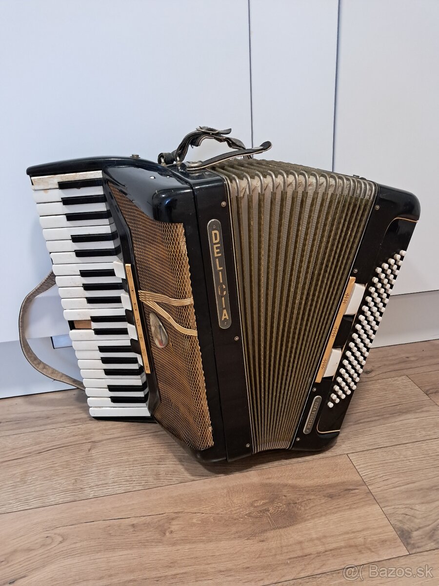 Akordeón Delicia - 5