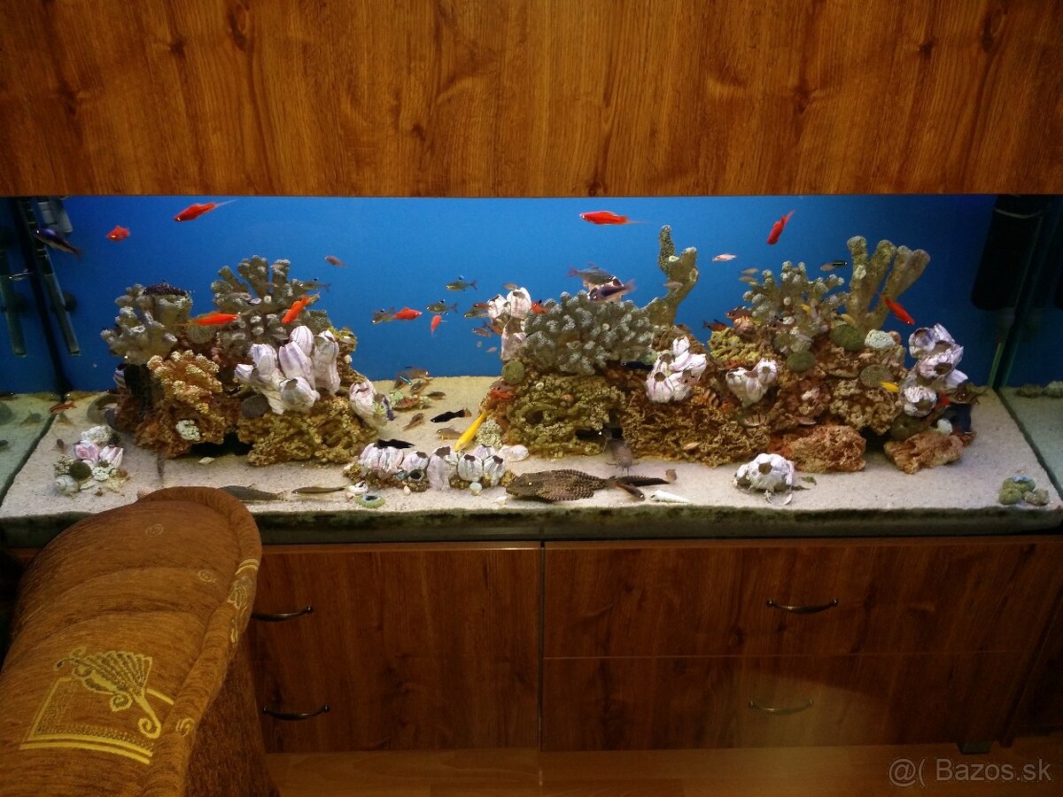 Veľké akvárium - 5
