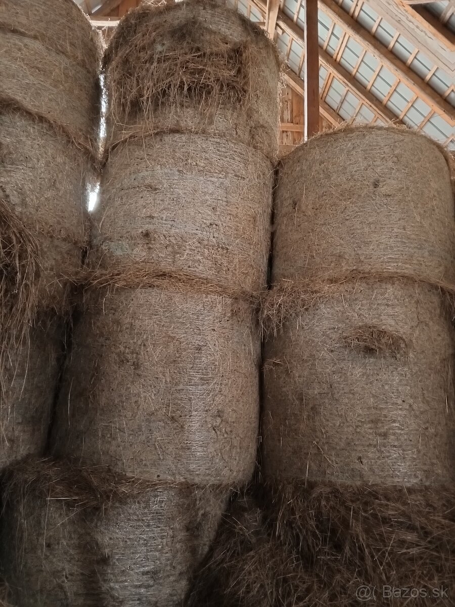 Senáž, Seno - 5