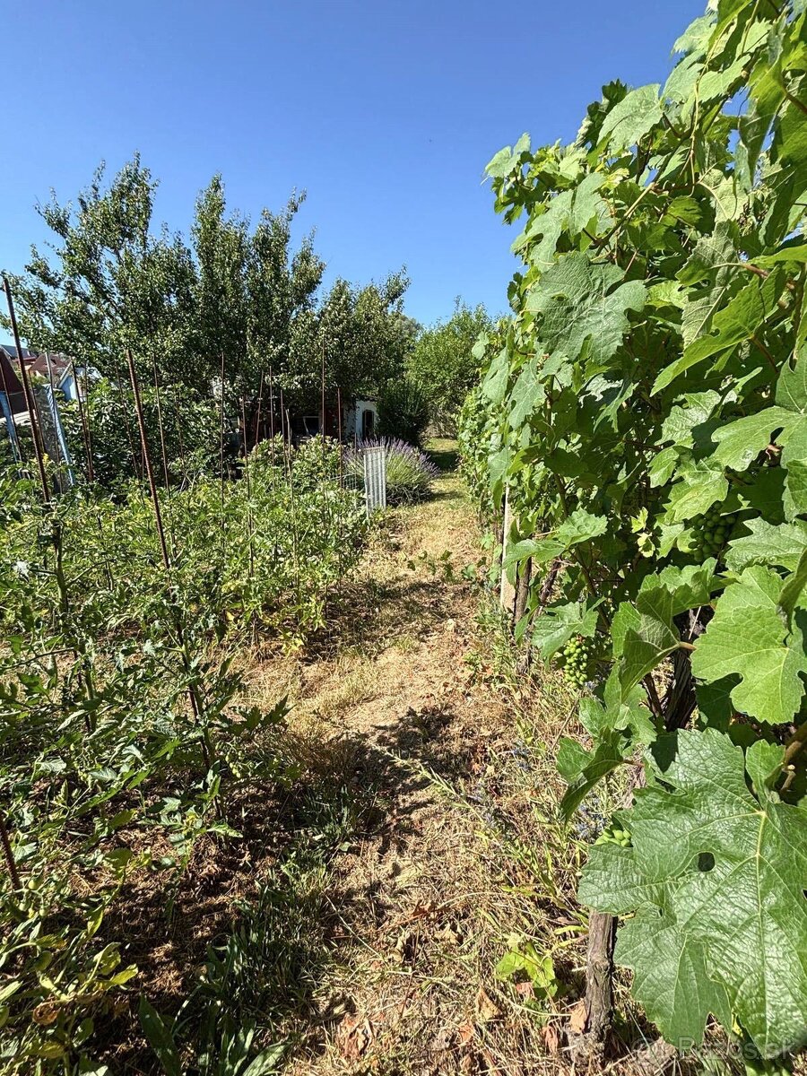 Predám záhradku s chatkou - 5