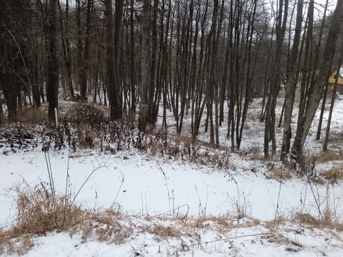 pozemok na ranč, farmu, usadlosť, kemping Lipovce 12000m2 - 5