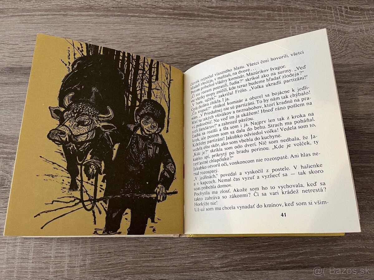 Hana Zelinová Jakubko - 5