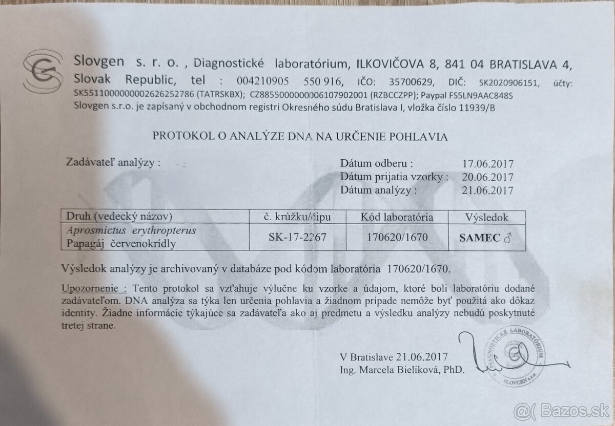 Papagáj červenokrídly - 5