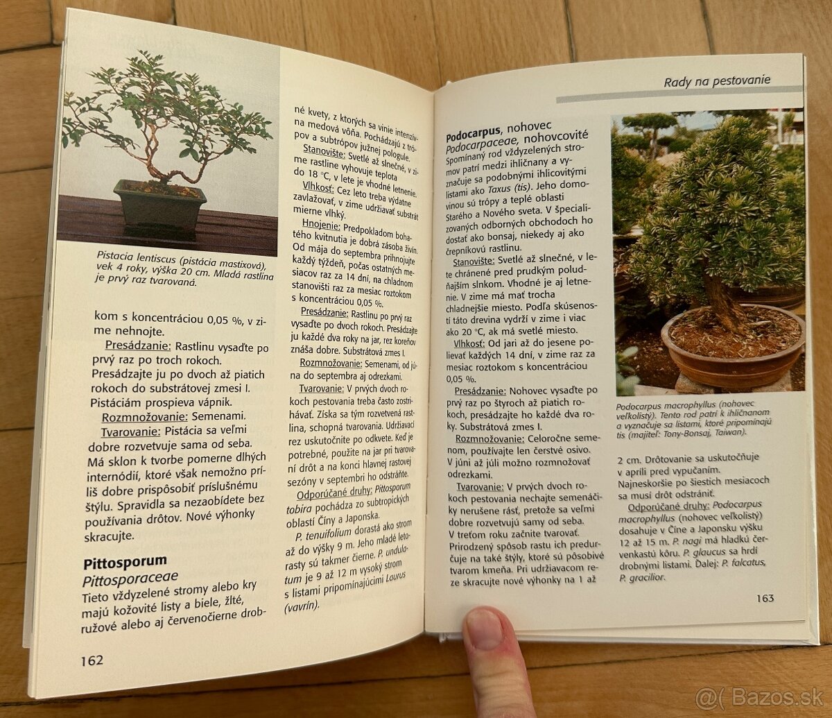 Kniha Izbové bonsaje Wolfgang Kawollek za 5eur - 5