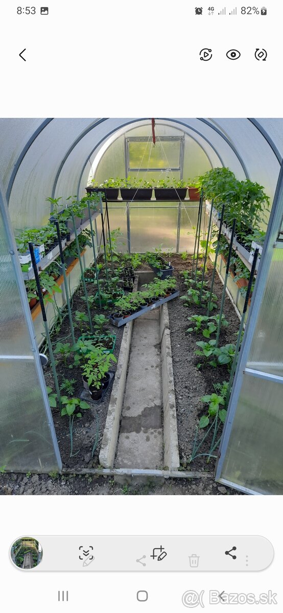 Polykarbonatovy sklenik - 5