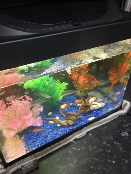 Predám akvárium - 5