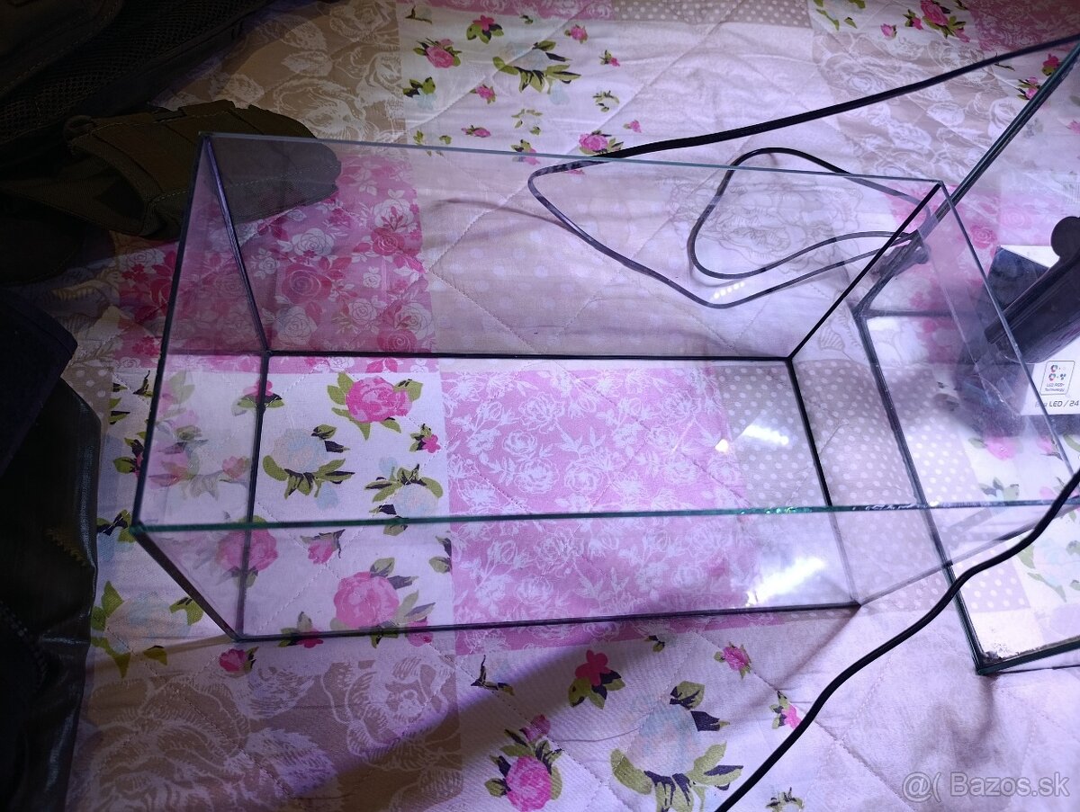 Akvarium pre začiatočníkov - 5