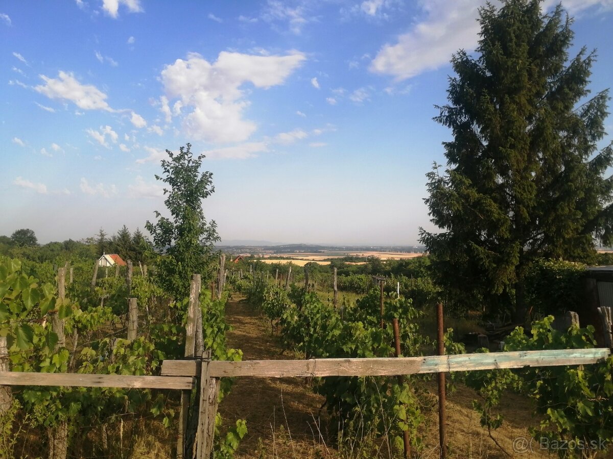 Predaj viničný domček , 646 m2 ,Rybník - 5