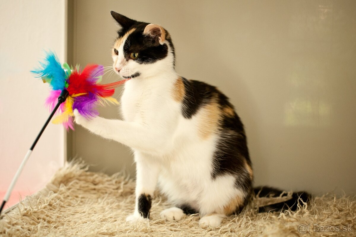 ❤ Priscila - jemná a citlivá dušička - 5